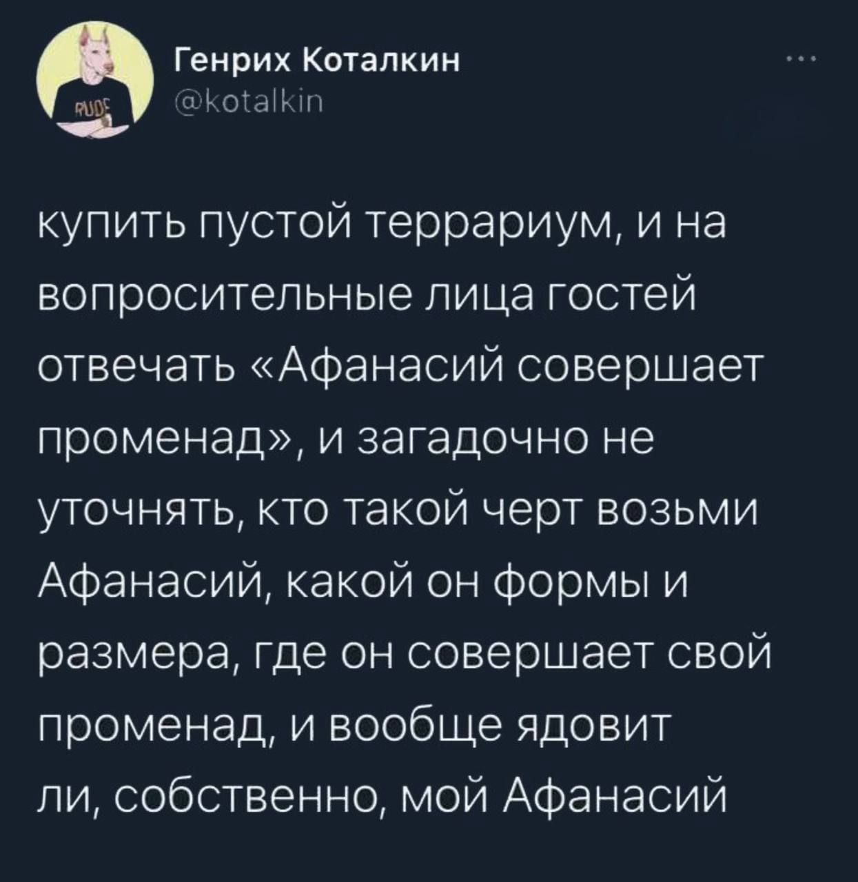купить пустой террариум, и на вопросительные лица гостей отвечать «Афанасий совершает променад», и загадочно не уточнять, кто такой черт возьми Афанасий, какой он формы и размера, где он совершает свой променад, и вообще ядолит ли, собственно, мой Афанасий
