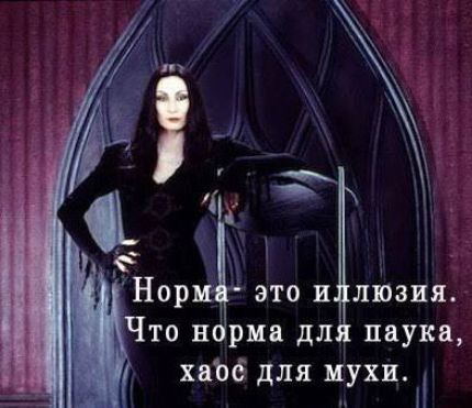 Норма- это иллюзия. Что норма для паука, хаос для мухи.