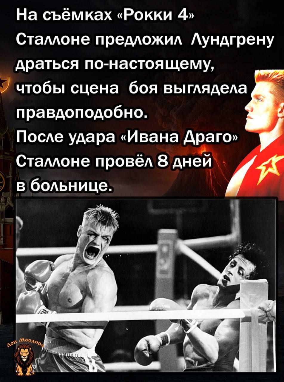 На съёмках «Рокки 4» Сталлоне предложил Лундгрену драться по-настоящему, чтобы сцена боя выглядела правдоподобно. После удара «Ивана Драго» Сталлоне провёл 8 дней в больнице.