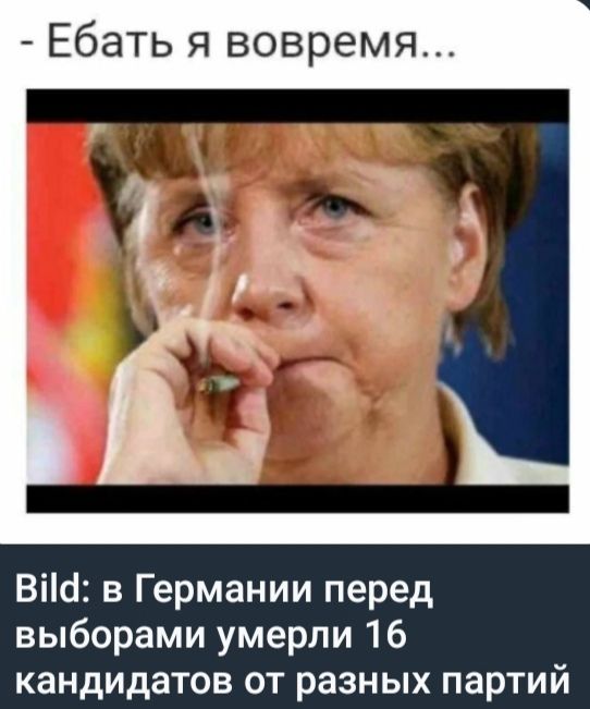 Ебатъ я вовремя… Bild: в Германии перед выборами умерли 16 кандидатов от разных партий