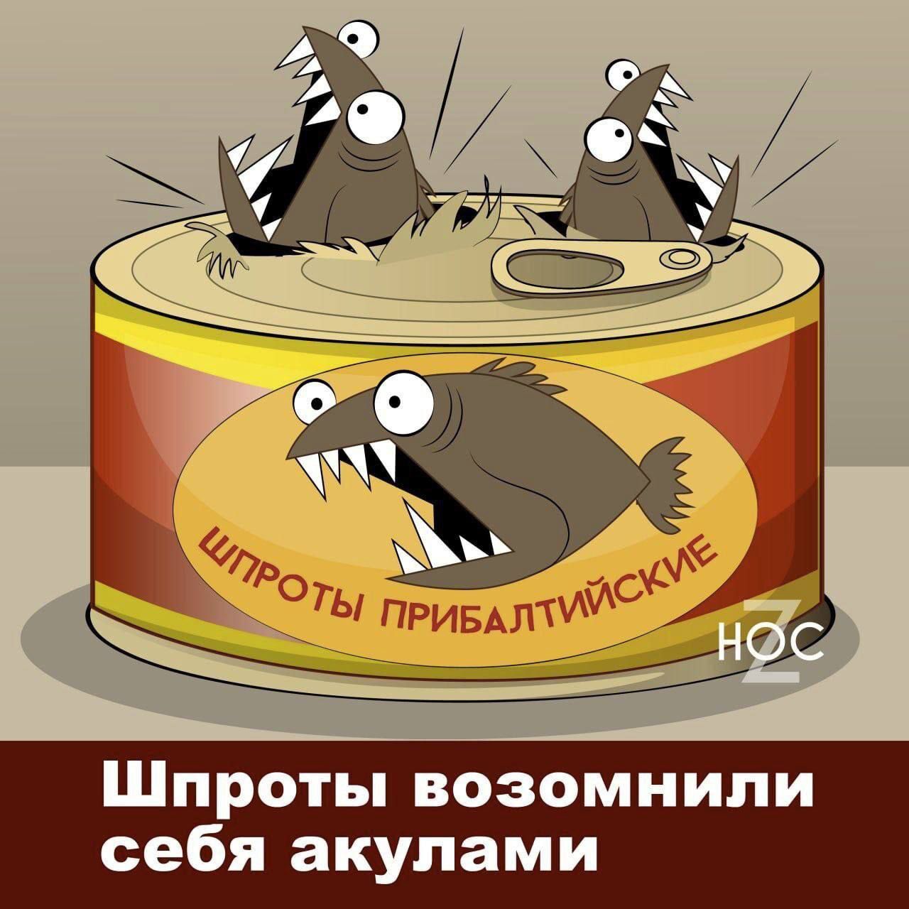Шпроты возомнили себя акулами