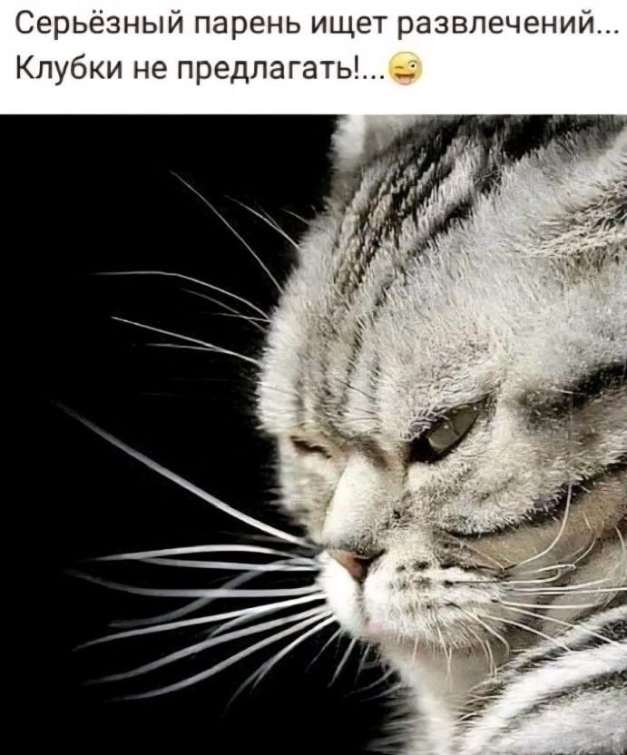 Серьёзный парень ищет развлечений... Клубки не предлагать!...