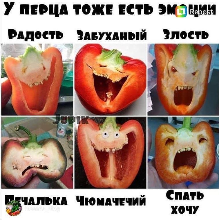 У перца тоже есть эмоции
Радость
Забуханный
Злость
Печалька
Чумачечий
Спать хочу