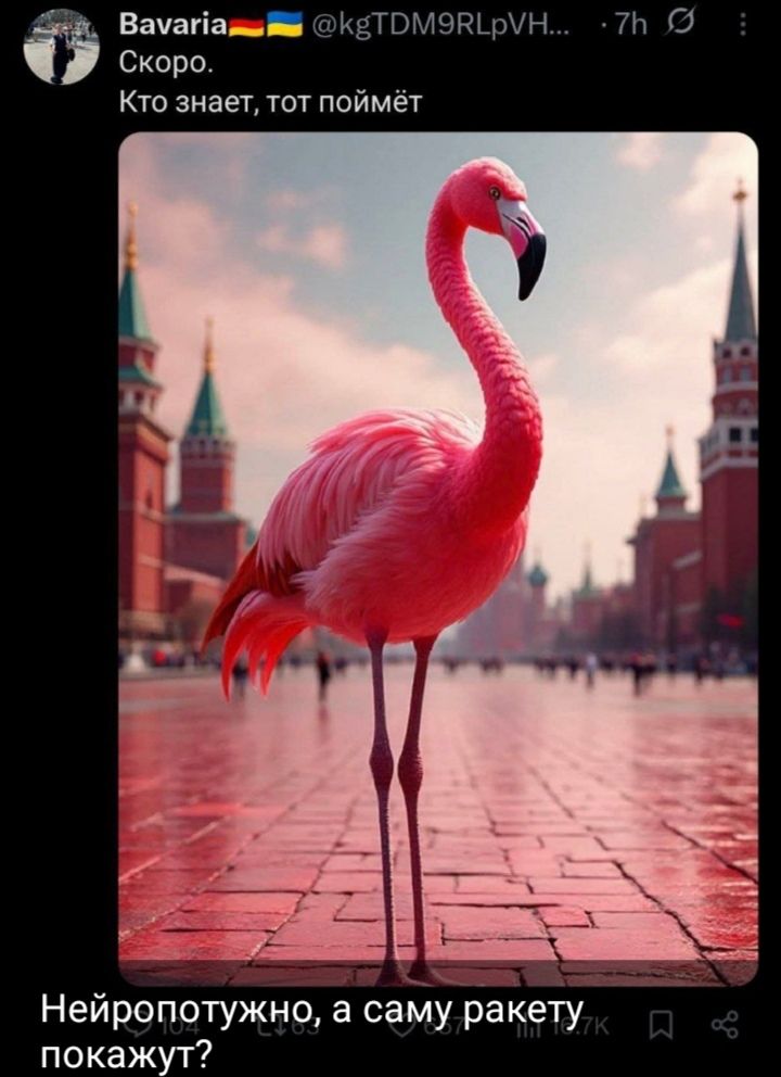 Скоро.
Кто знает, тот поймёт.
Нейропотужно, а саму ракету покажут?