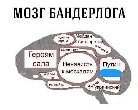 Мозг бандерлога
Героям сала
Ненависть к москалям
Путин
Крым украинский
Единая страна
Майдан стоял против олигархов
мыслей нет