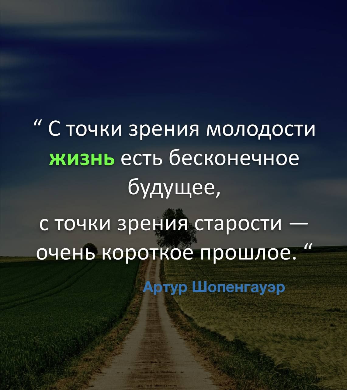 “ С точки зрения молодости жизнь есть бесконечное будущее, с точки зрения старости — очень короткое прошлое. ”
 Артур Шопенгауэр