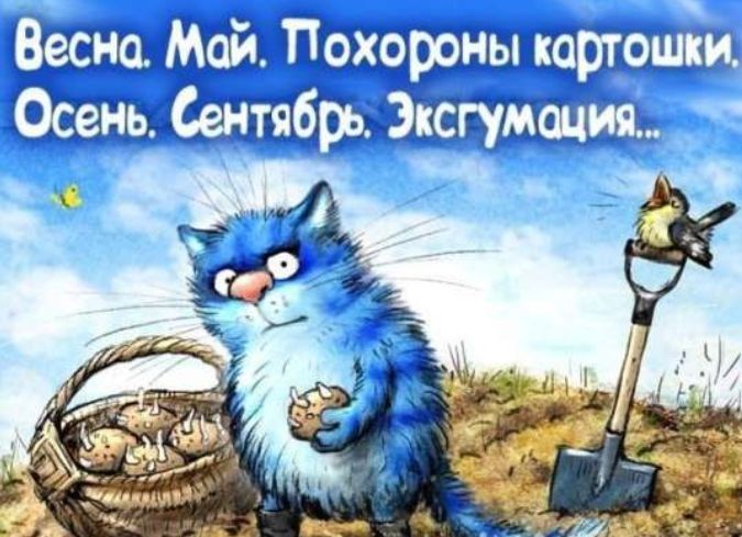 Весна. Май. Похороны картошки. Осень. Сентябрь. Экскамация...