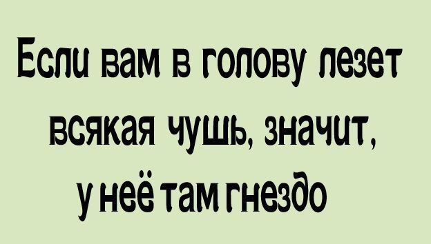 Если вам в голову лезет всякая чушь, значит, у неё там гнездо