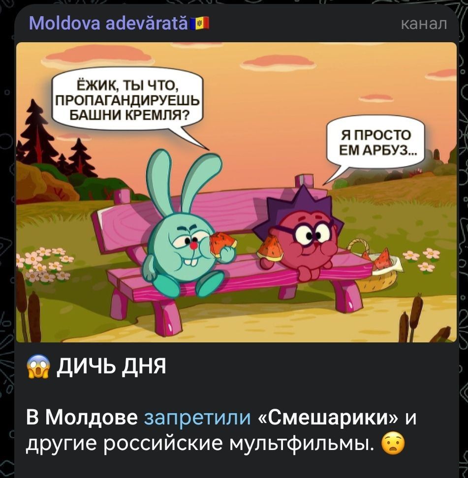 Ёжик, ты что, пропагандируешь башни Кремля? Я просто ем арбуз...
В Молдове запретили «Смешарики» и другие российские мультфильмы.