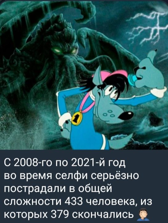 С 2008-го по 2021-й год во время селфи серьёзно пострадали в общей сложности 433 человека, из которых 379 скончались.