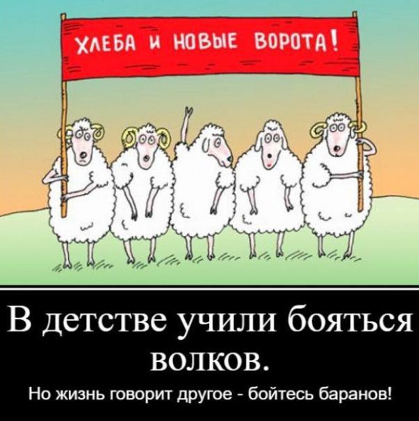 В детстве учили бояться волков. Но жизнь говорит другое - бойтесь баранов!