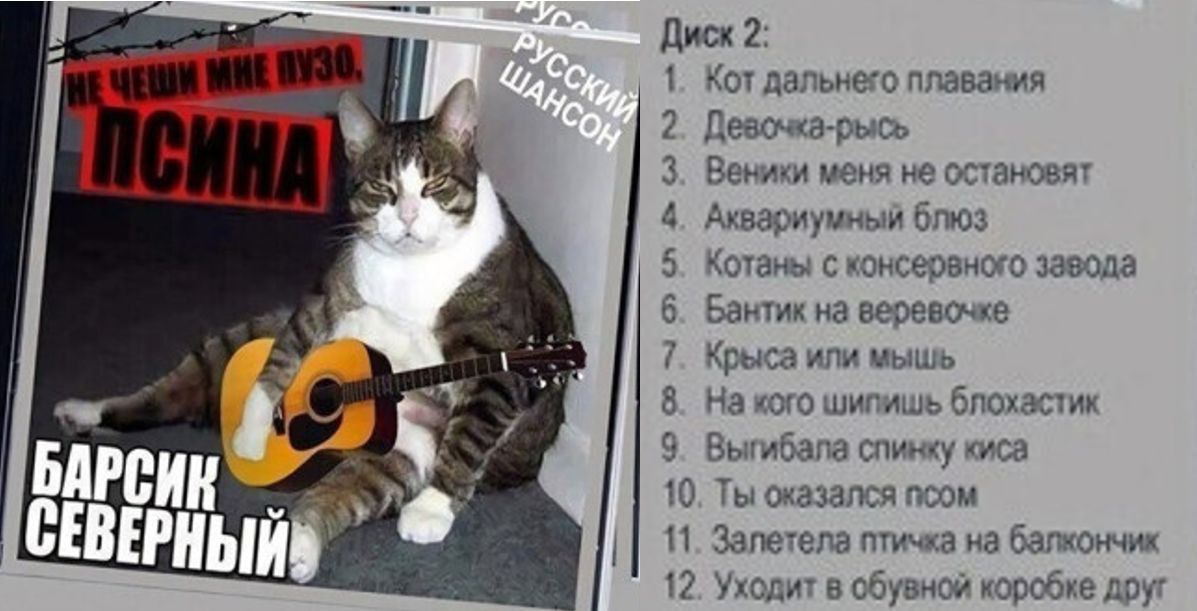Не чеши мне, ПСИНА

Диск 2:
1. Кот дальнего плавания
2. Девочка-рысь
3. Вечный меня не останавливает
4. Аквариумный блуз
5. Котаны с консервного завода
6. Бантик на веревочке
7. Крыса или мышь
8. На кого шишишь блошатик
9. Выбила спинику куса
10. Ты оказалась псом
11. Залетел птица на балкончик
12. Уходит в обувной коробке друг