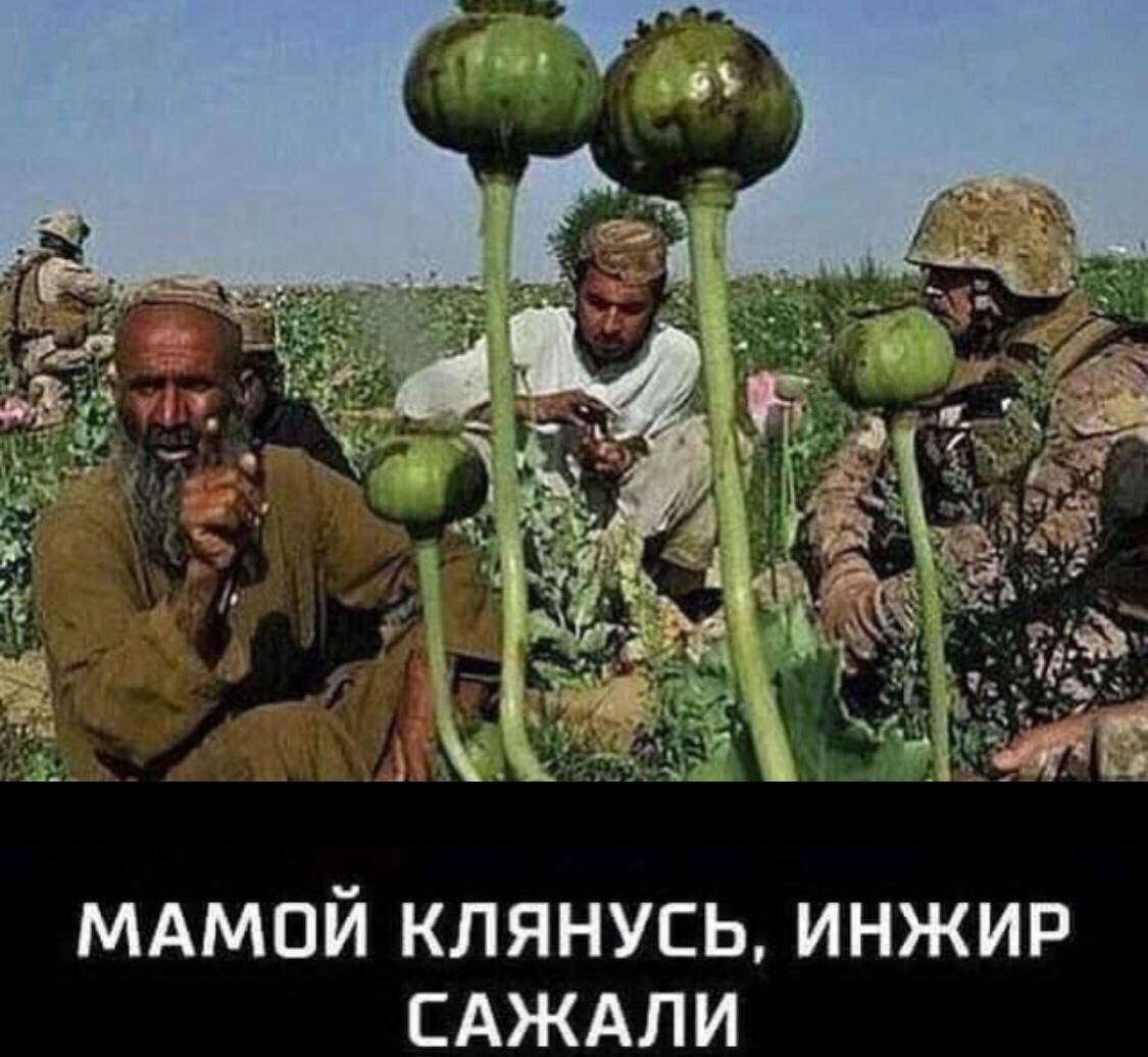 МАМОЙ КЛЯНУСЬ, ИНЖИР САЖАЛИ