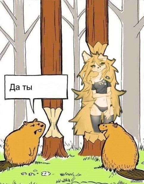 Да ты