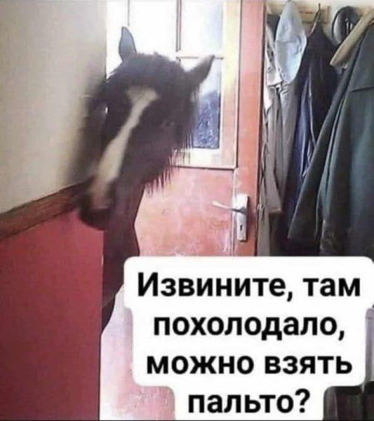 Извините, там похолодало, можно взять пальто?