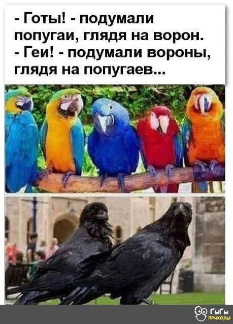 - Готы! - подумали попугаи, глядя на ворон.
- Геи! - подумали вороны, глядя на попугаев...
