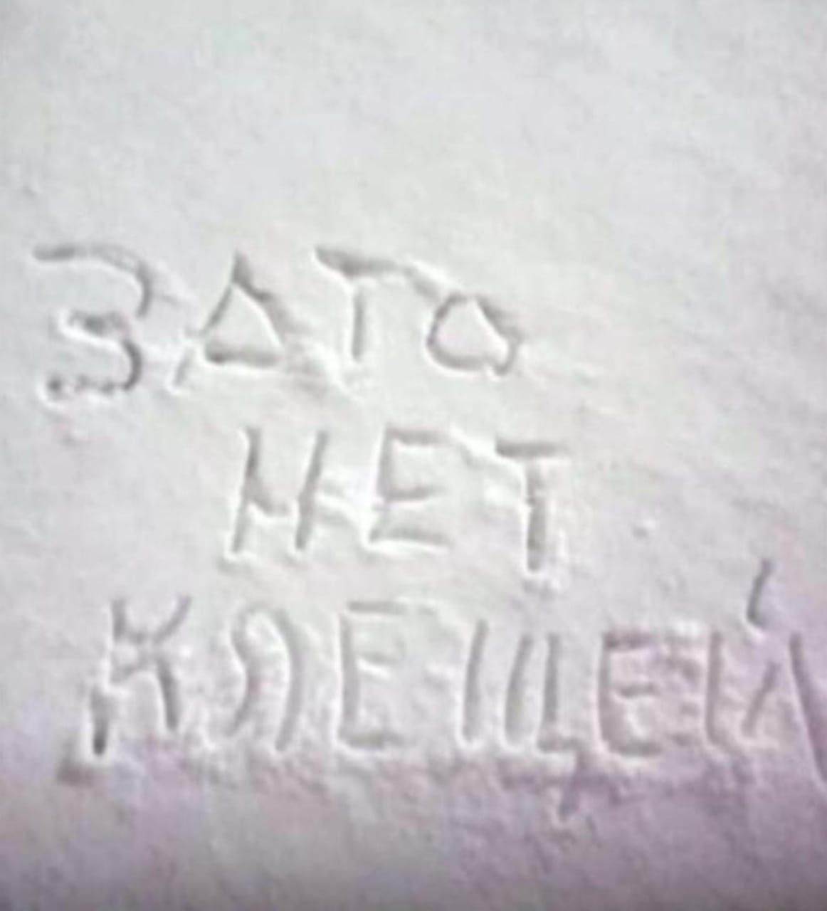 Зато нет клещей