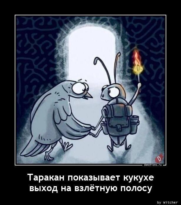 Таракан показывает кукухе выход на взлётную полосу