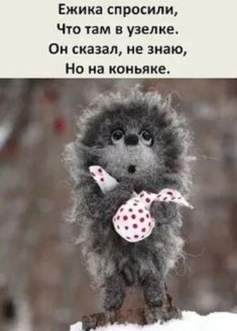 Ежика спросили,
Что там в узелке.
Он сказал, не знаю,
Но на коньяке.