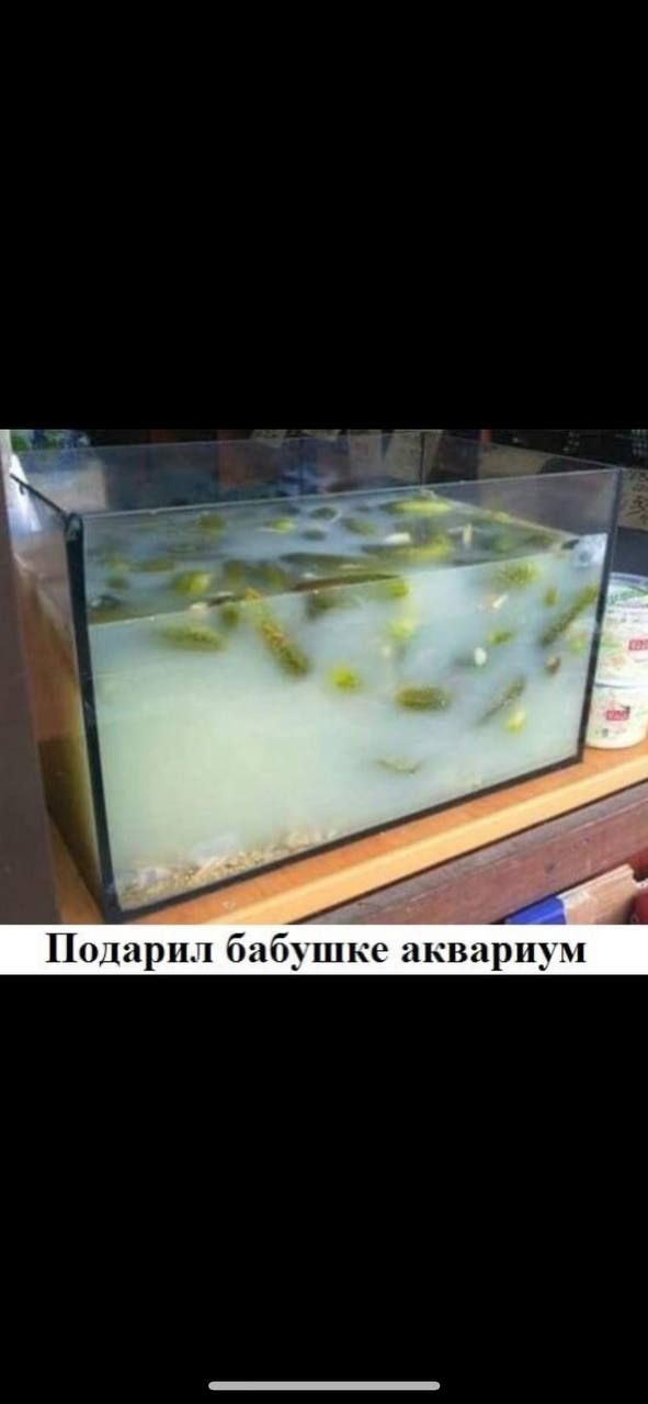 Подарил бабушке аквариум