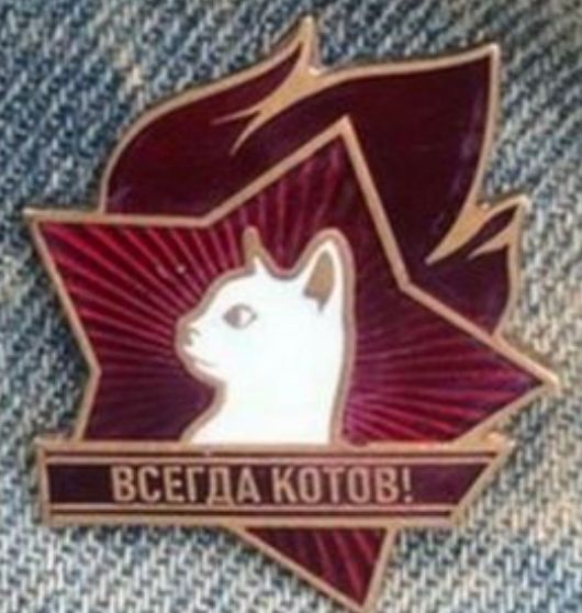ВСЕГДА КОТОВ!