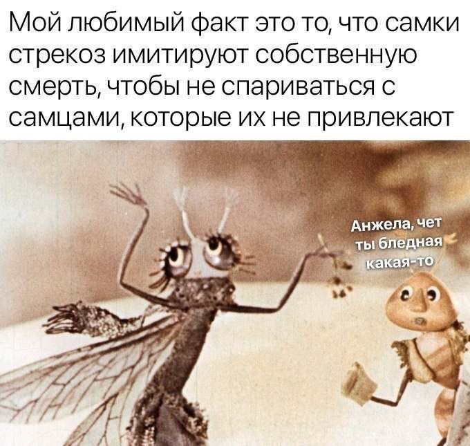 Мой любимый факт это то, что самки стрекоз имитируют собственную смерть, чтобы не спариваться с самцами, которые их не привлекают.

Анжела, чет ты бледная какая-то