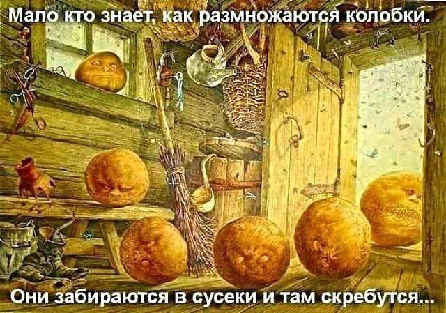 Мало кто знает, как размножаются колобки.
Они забираются в сусеки и там скребутся...
