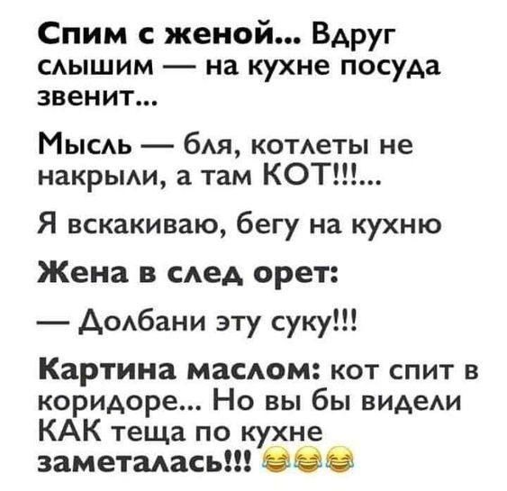 Спим с женой... Вдруг слышим — на кухне посуда звенит...
Мысль — бля, котлеты не накрыли, а там КОТ!!!!...
Я вскакиваю, бегу на кухню
Жена в след орет:
— Долбани эту суку!!!

Картина маслом: кот спит в коридоре... Но вы бы видели КАК теща по кухне заметалась!!! 😂😂😂