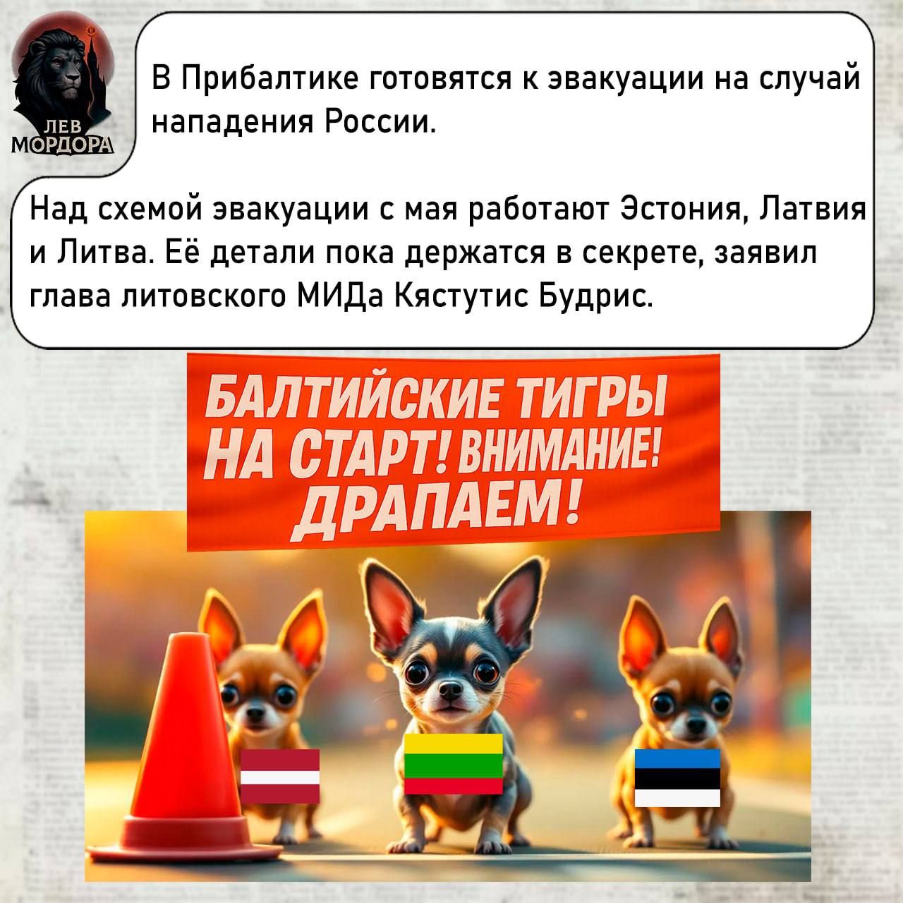 В Прибалтике готовятся к эвакуации на случай нападения России.
Над схемой эвакуации с мая работают Эстония, Латвия и Литва. Её детали пока держатся в секрете, заявил глава литовского МИДа Кястутис Будрис.

БАЛТИЙСКИЕ ТИГРЫ НА СТАРТ! ВНИМАНИЕ! ДРАПАЕМ!