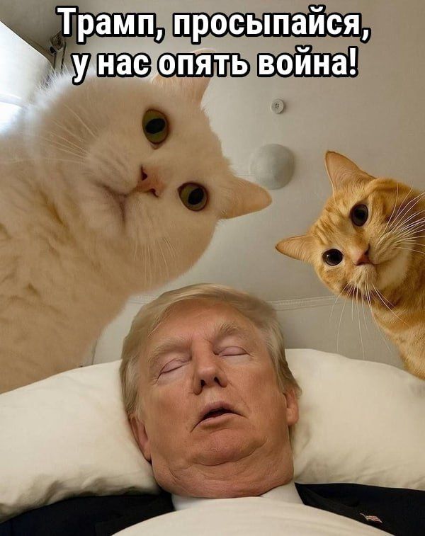 Трамп, просыпайся, у нас опять война!