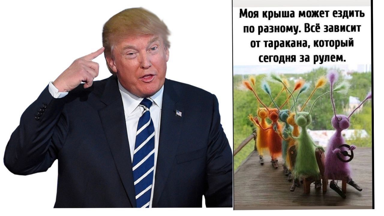 Моя крыша может ездить по-разному. Всё зависит от таракана, который сегодня за рулем.