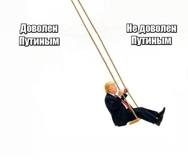 Доволен Путиным
Не доволен Путиным