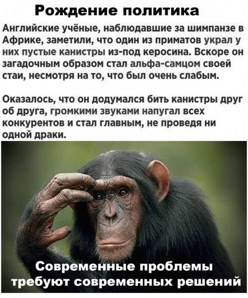 Рождение политика

Английские учёные, наблюдавшие за шимпанзе в Африке, заметили, что один из приматов украл у них пустые канистры из-под керосина. Вскоре он загадочным образом стал альфа-самцом своей стаи, несмотря на то, что был очень слабым.

Оказалось, что он додумался бить канистры друг об друга, громкими звуками напугал всех конкурентов и стал главным, не проведя ни одной драки.

Современные проблемы требуют современных решений.