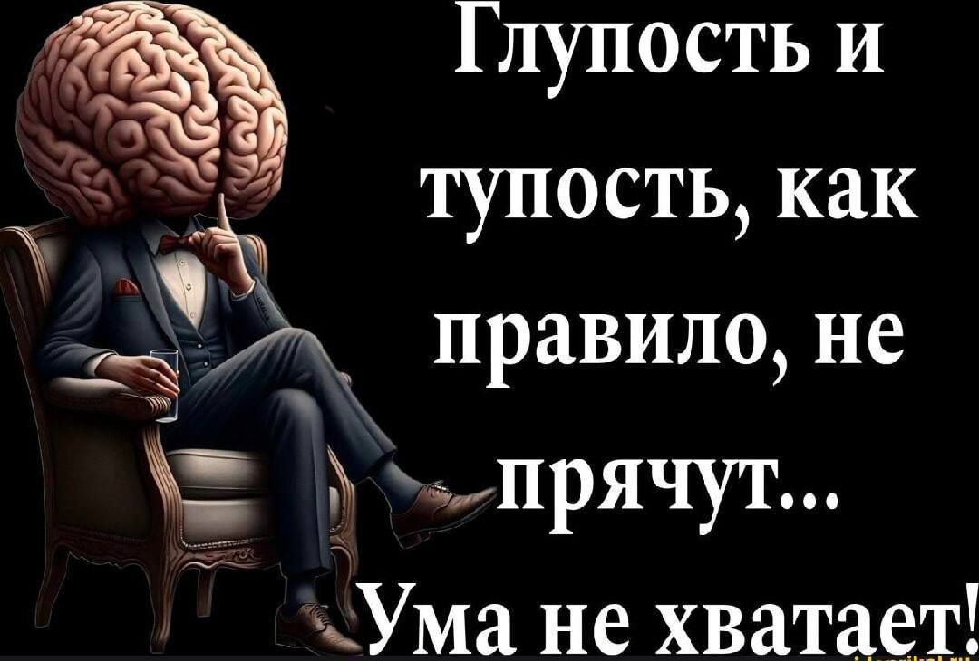 Глупость и тупость, как правило, не прячут... Ума не хватает!