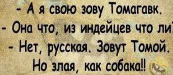 - А я свою зову Томагавк.
- Она что, из индейцев что ли?
- Нет, русская. Зовут Тоней.
Но злая, как собака!!