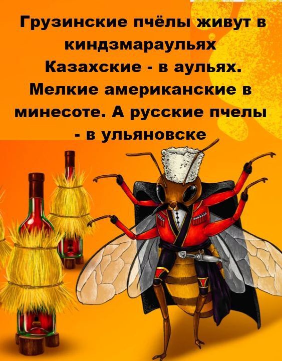 Грузинские пчёлы живут в киндзмараулиях
Казахские - в аульях.
Мелкие американские в минесоте. А русские пчёлы - в ульяновске.