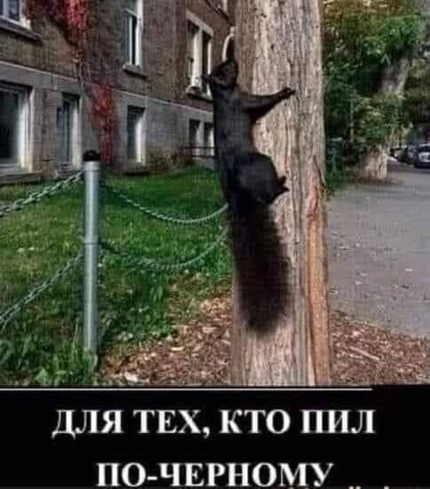 ДЛЯ ТЕХ, КТО ПИЛ ПО-ЧЕРНОМУ