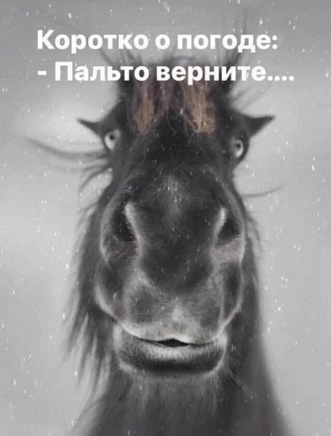 Коротко о погоде: - Пальто верните....