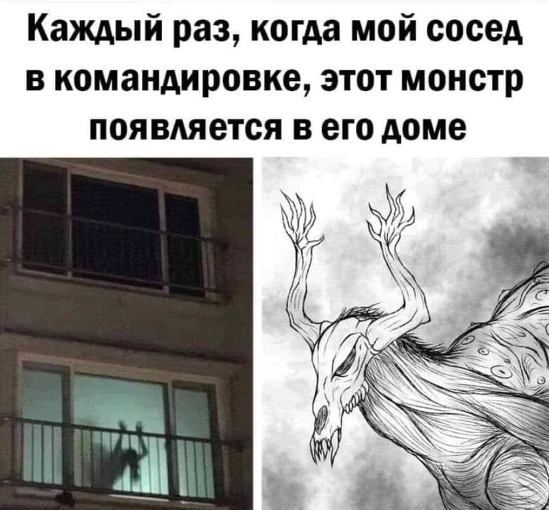 Каждый раз, когда мой сосед в командировке, этот монстр появляется в его доме.