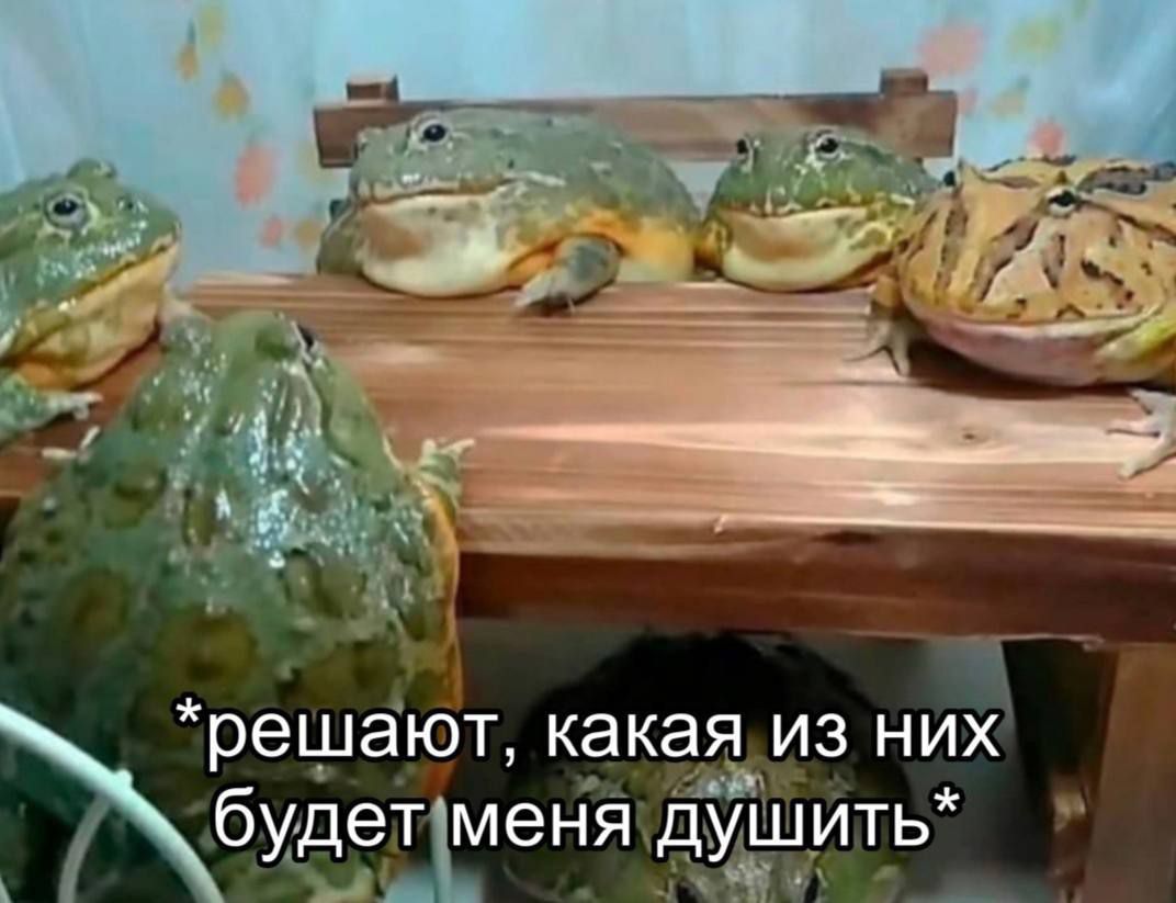 *решают, какая из них будет меня душить*
