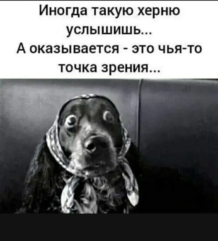 Иногда такую херню услышишь... А оказывается - это чья-то точка зрения...
