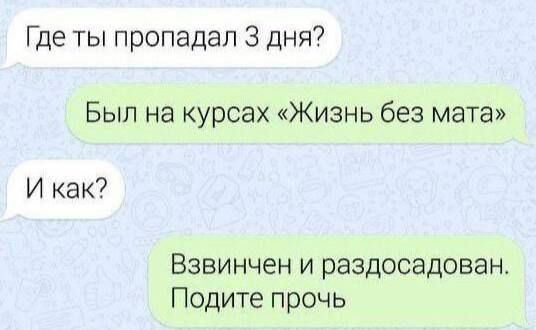 Где ты пропадал 3 дня?
Был на курсах «Жизнь без мата»
И как?
Взвешен и разоздан.
Пойдите прочь