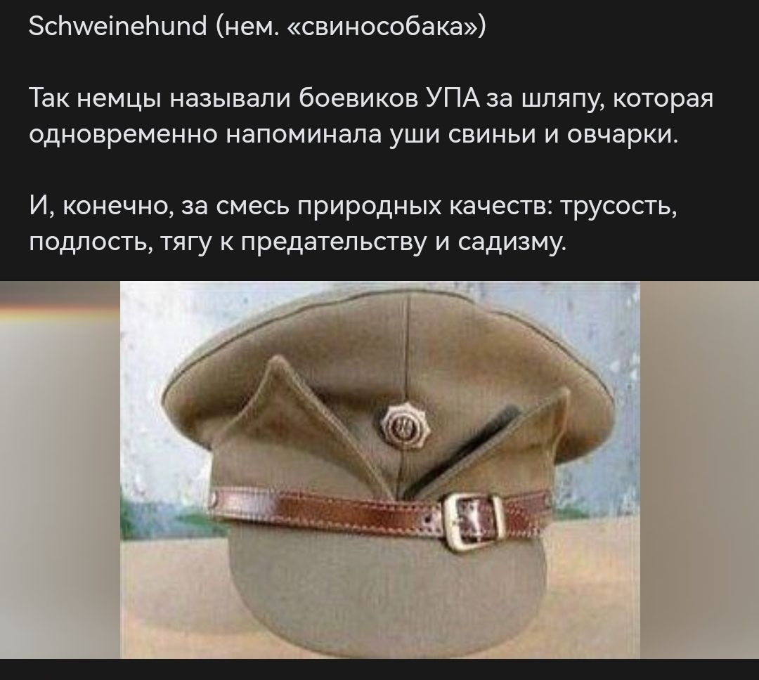 Schweinehund (нем. «свинособака»)

Так немцы называли боевиков УПА за шляпу, которая одновременно напоминала уши свиньи и овчарки.

И, конечно, за смесь природных качеств: трусость, подлость, тягу к предательству и садизму.