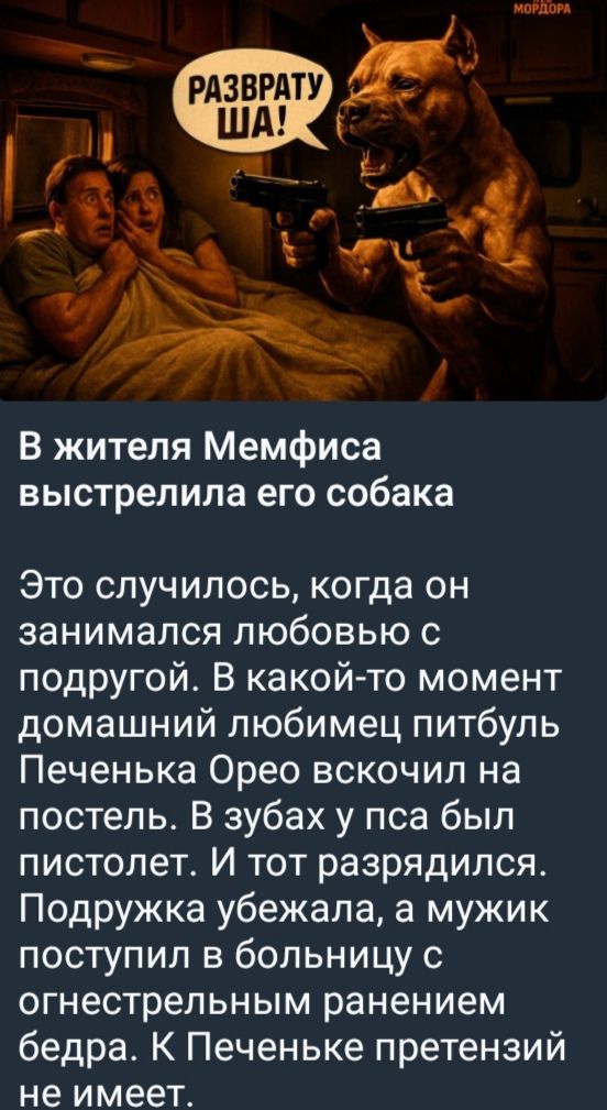 В жителя Мемфиса выстрелила его собака
Это случилось, когда он занимался любовью с подругой. В какой-то момент домашний любимец питбуль Печенька Орехо вскочил на постель. В зубах у psa был пистолет. И тот разрядился. Подружка убежала, а мужик поступил в больницу с огнестрельным ранением бедра. К Печеньке претензий не имеет.