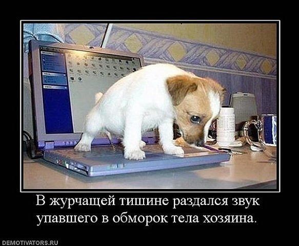 В жужащей тишине раздался звук упавшего в обморок тела хозяина.