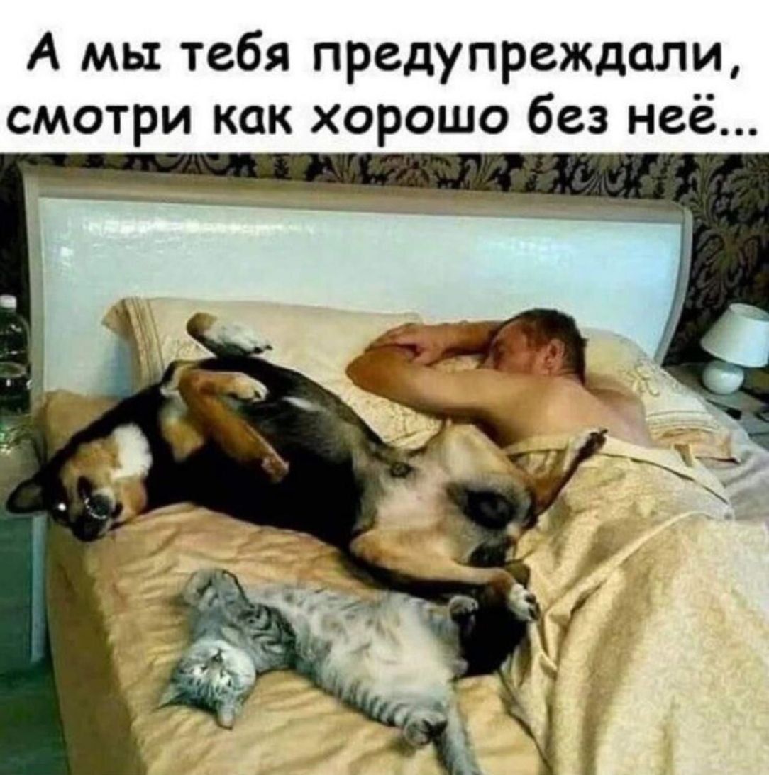 А мы тебя предупреждали, смотри как хорошо без неё...