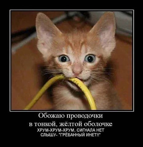 Обожаю проводочки в тонкой, жёлтой оболочке ХРУМ-ХРУМ-ХРУМ, СИГНАЛА НЕТ СЛЫШУ- 