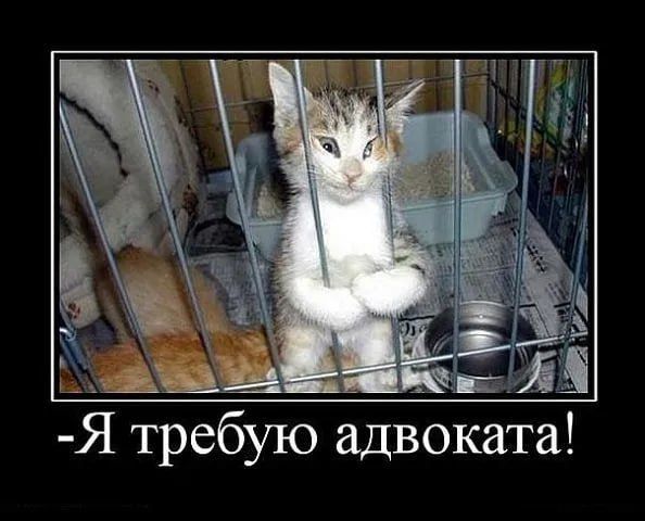 Я требую адвоката!