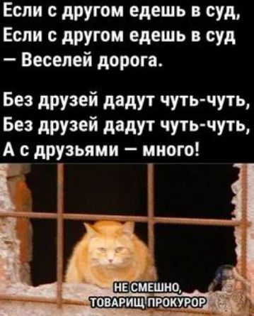 Если с другом едешь в суд, Если с другом едешь в суд — Веселей дорога.
Без друзей дадут чуть-чуть, Без друзей дадут чуть-чуть, А с друзьями — много!
НЕ СМЕШНО, ТОВАРИЩ ПРОКУРОР