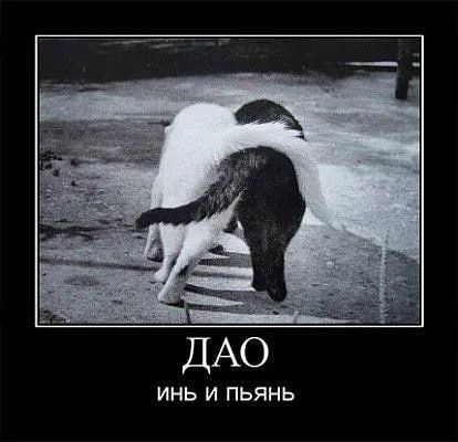 ДАО
инь и пья́нь